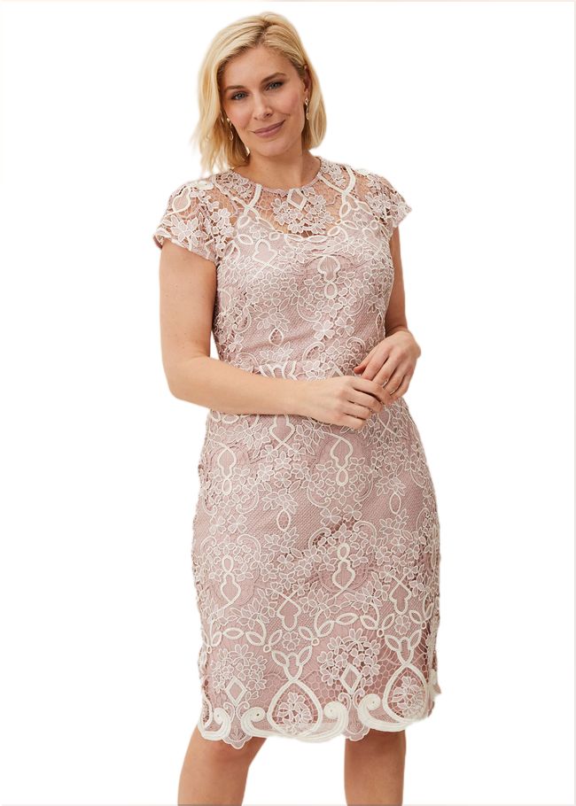  Frances Lace Fitted Dress Petal 208572313