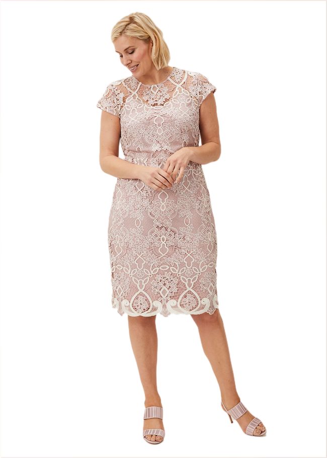  Frances Lace Fitted Dress Petal 208572313