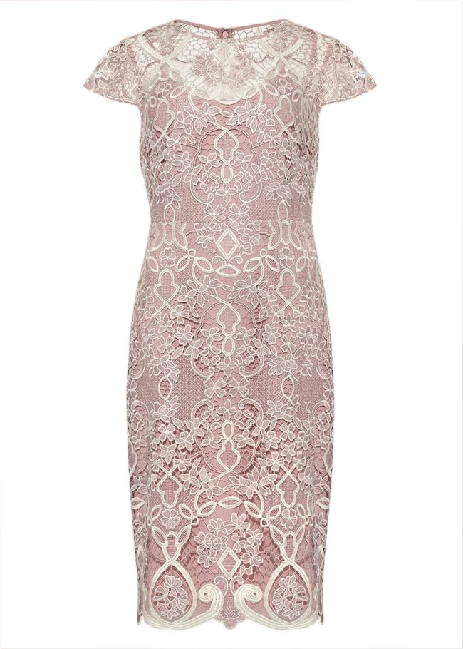  Frances Lace Fitted Dress Petal 208572313