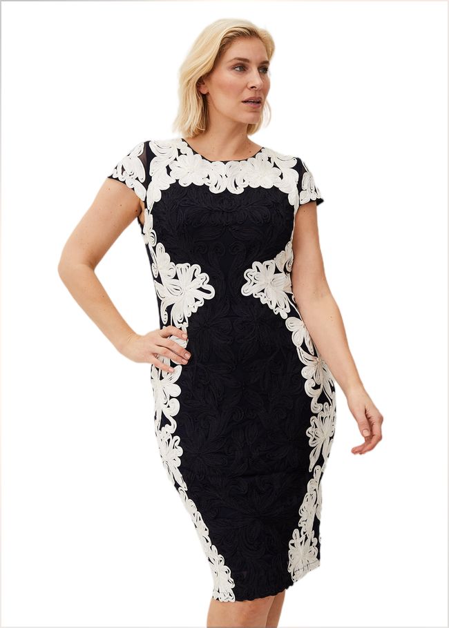  Nori Tapework Lace Fitted Dress Navy/Ivory 208730287