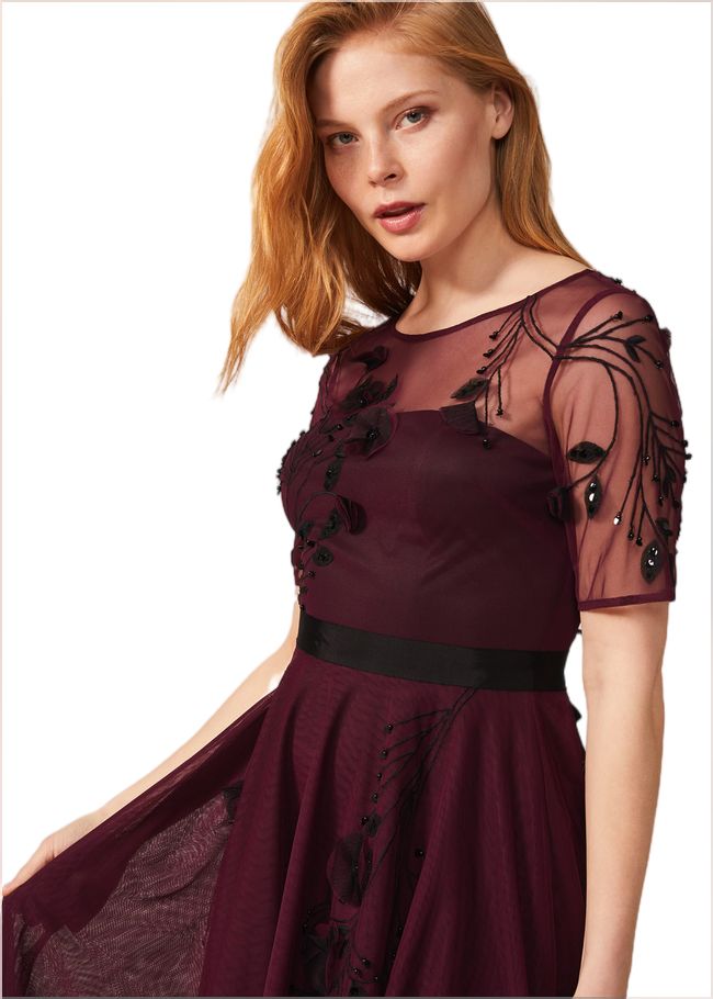  Felicia Embroidered Tulle Dress Berry 220118720