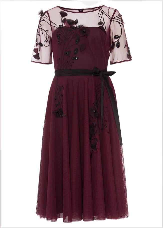  Felicia Embroidered Tulle Dress Berry 220118720