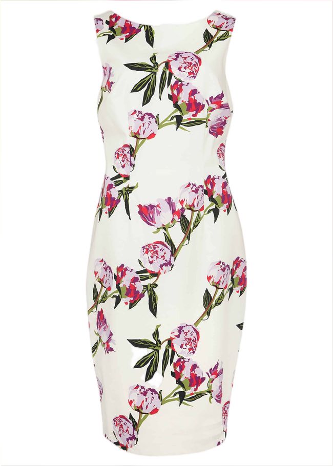  Rochella Peony Print Dress Ivory/Multi 220210931