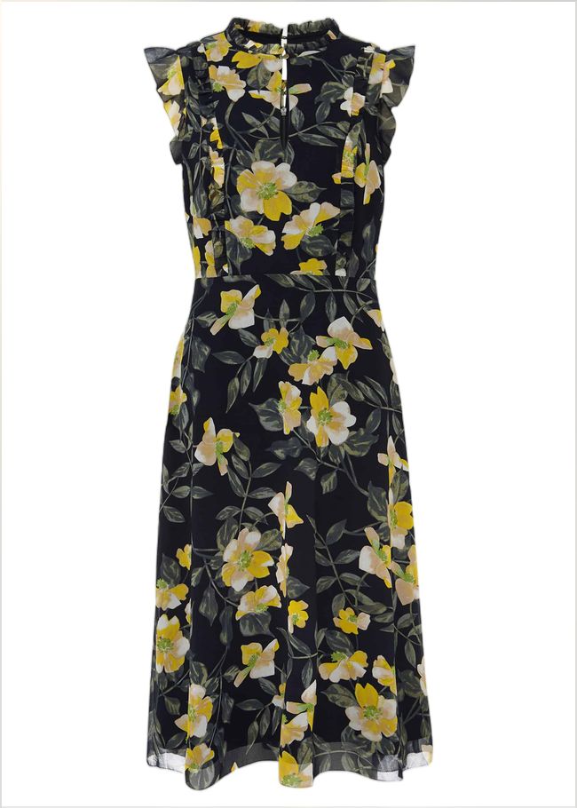  Evie Floral Dress Navy/Multi 220343493