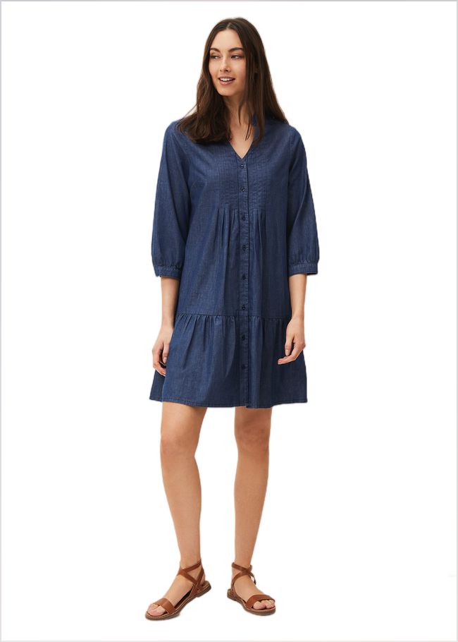  Penele Swing Dress Chambray 220459027