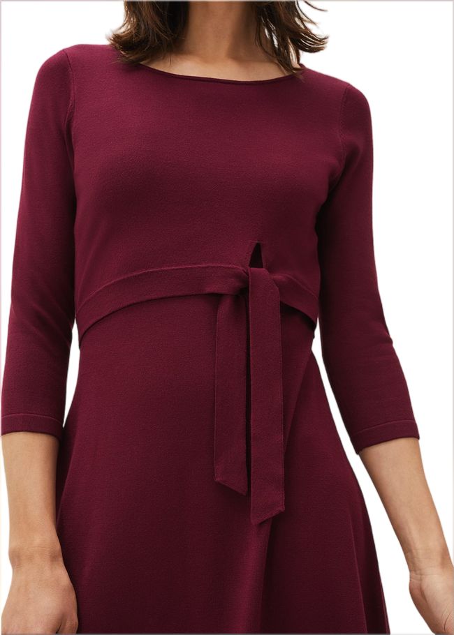  Dionne Tie Waist Dress Wine 220639257