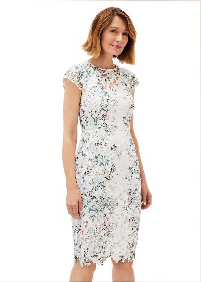  Franky Floral Lace Fitted Dress Ivory/Multi 220719931