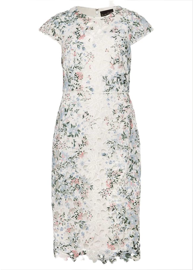  Franky Floral Lace Fitted Dress Ivory/Multi 220719931