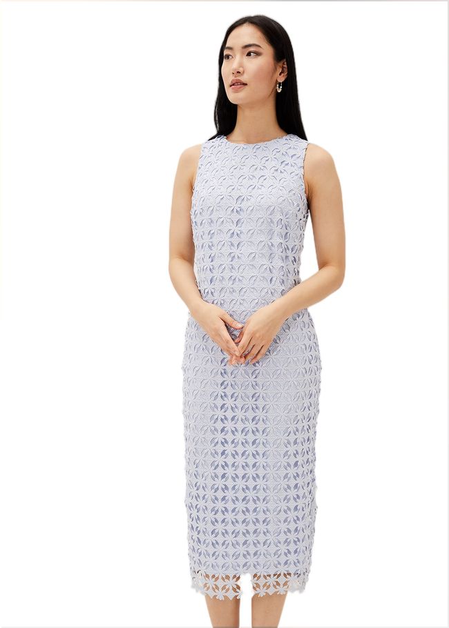  Novah Lace Midi Dress Sky Blue 220874887