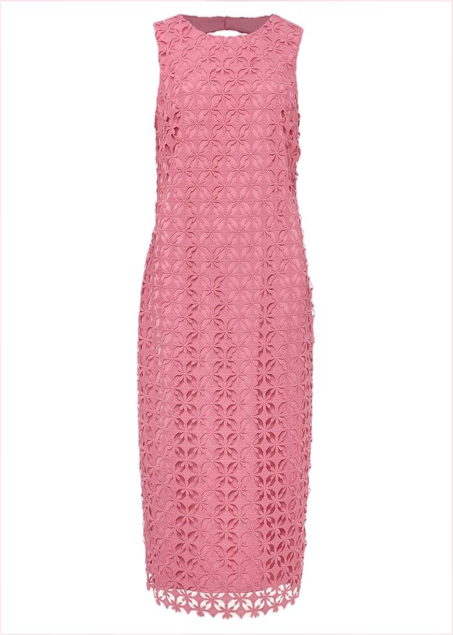  Novah Lace Midi Dress Candy Pink 220875014