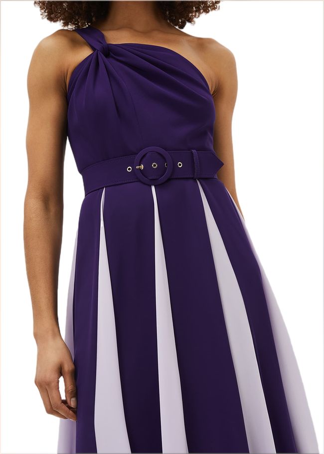  Rosalee One Shoulder Maxi Violet/Lilac 220955865