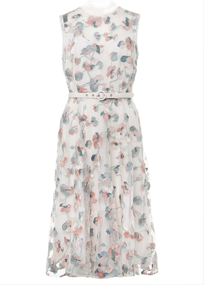  Leighton Floral Embroidered Midi Dress Pale Petal/ Multi 221364881