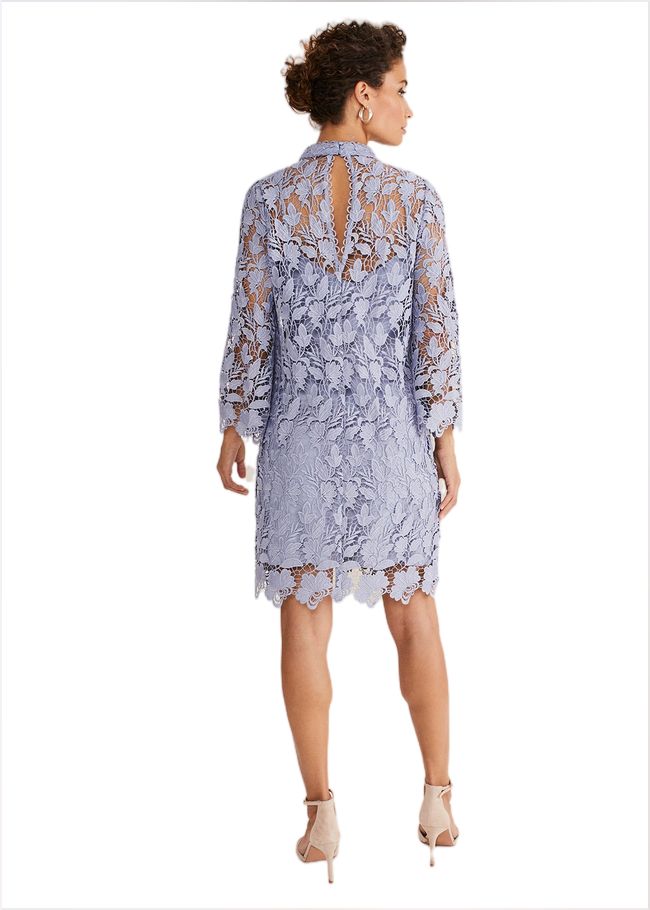  Verity Floral Lace Dress Cornflower 221428853