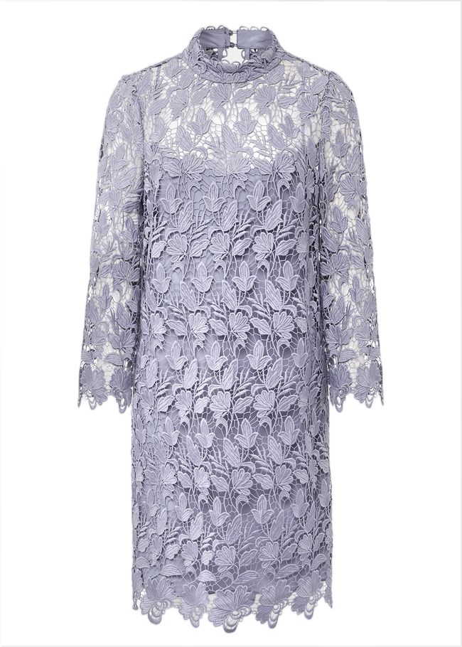  Verity Floral Lace Dress Cornflower 221428853