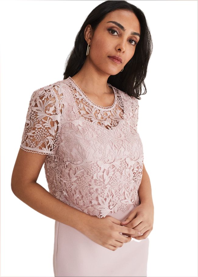  Petite Isabella Lace Midi Dress Antique Rose 221443840