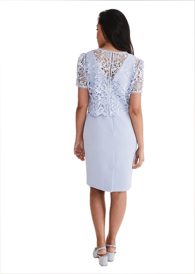  Petite Isabella Lace Midi Dress Light Cornflower 221444396