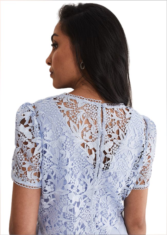  Petite Isabella Lace Midi Dress Light Cornflower 221444396