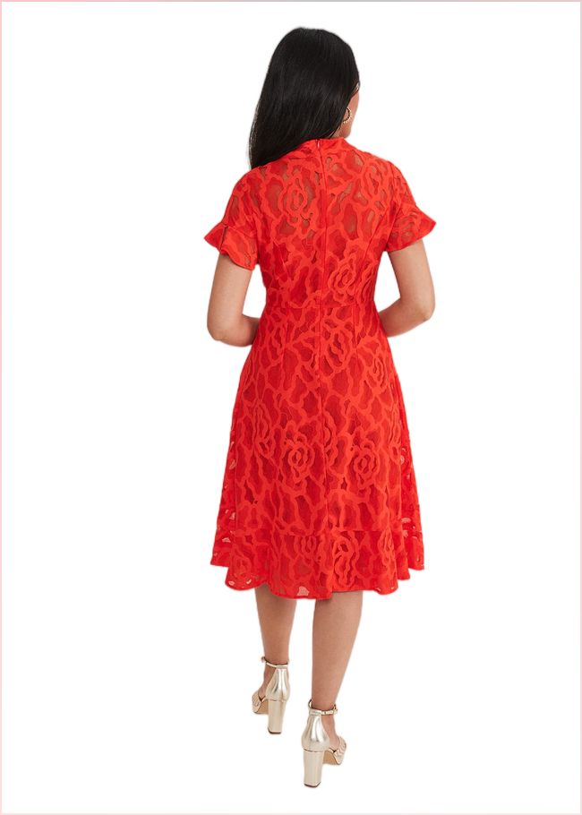  Petite Lulu Lace Midi Dress Fire 221512240