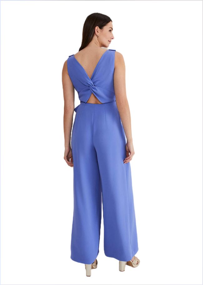  Elaina Blue Wide Leg Jumpsuit Foxglove Blue 221593418