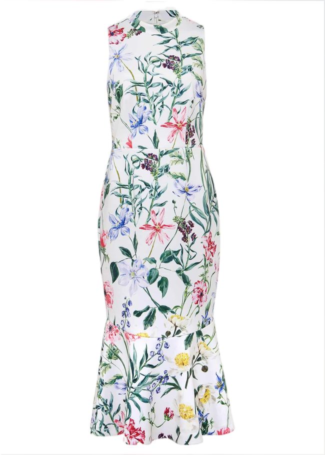  Tina Floral Fit And Flare Midi Dress Multi-Coloured 221806000