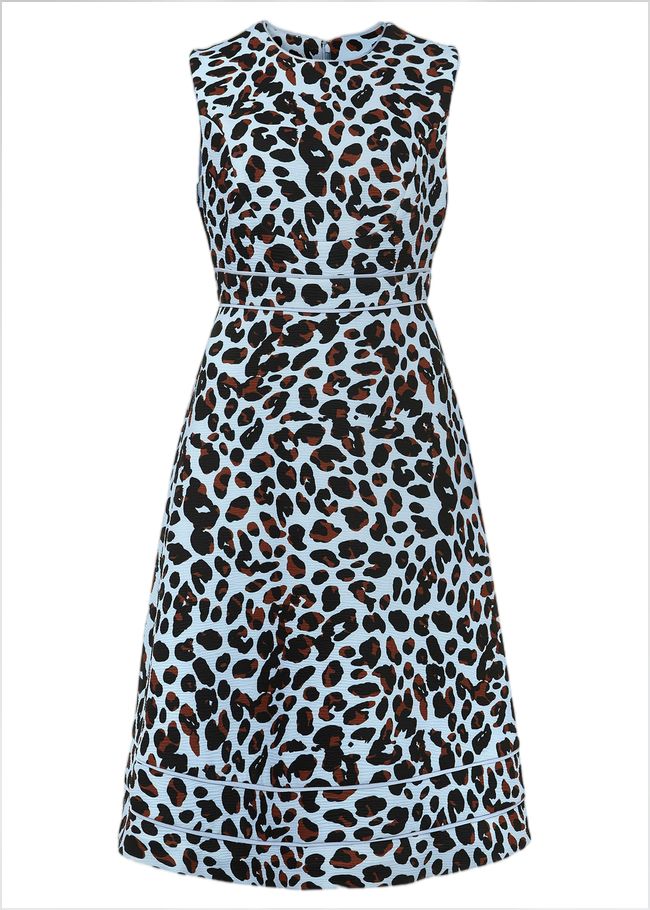  Arizona Leopard Dress Blue Multi 240715570